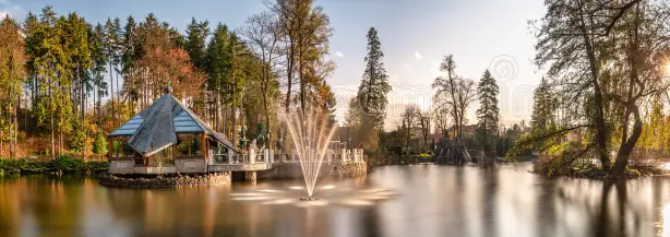 Swan lake
